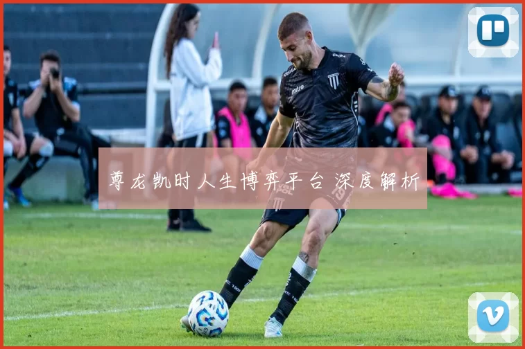尊龙凯时人生博弈平台 深度解析