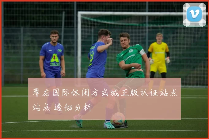 尊龙国际休闲方式城正版认证站点站点 透彻分析