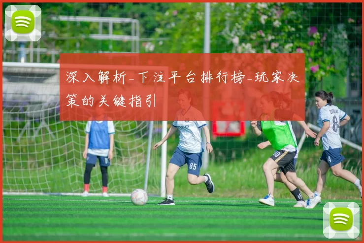 深入解析_下注平台排行榜_玩家决策的关键指引