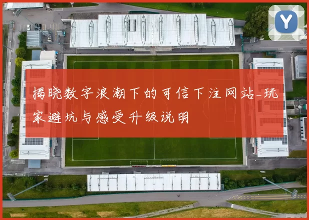 揭晓数字浪潮下的可信下注网站_玩家避坑与感受升级说明