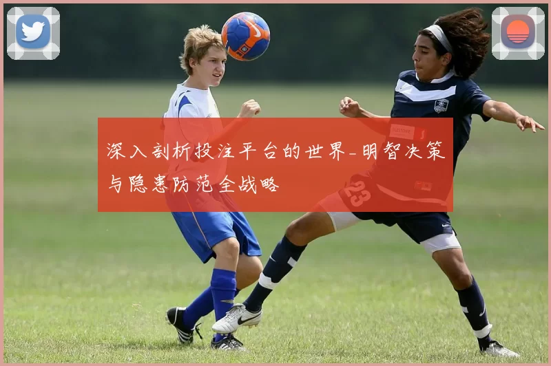 深入剖析投注平台的世界_明智决策与隐患防范全战略