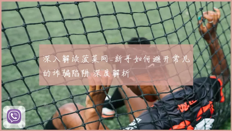 深入解读菠菜网_新手如何避开常见的诈骗陷阱 深度解析