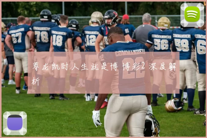 尊龙凯时人生就是博 博彩2 深度解析