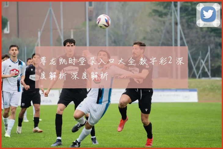 尊龙凯时登录入口大全 数字彩2 深度解析 深度解析