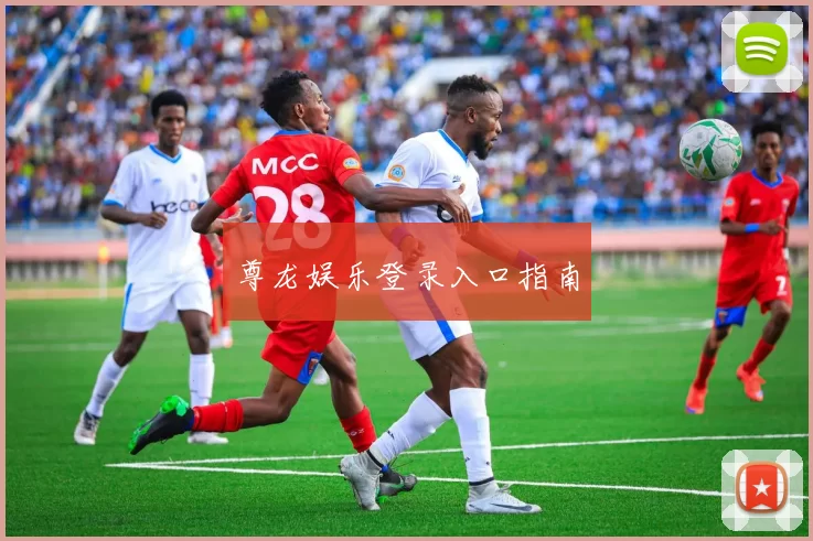 尊龙娱乐登录入口指南