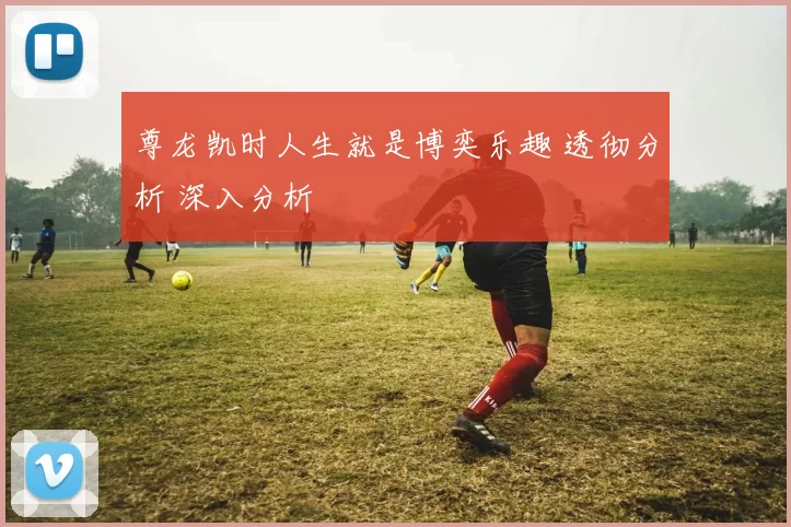 尊龙凯时人生就是博奕乐趣 透彻分析 深入分析