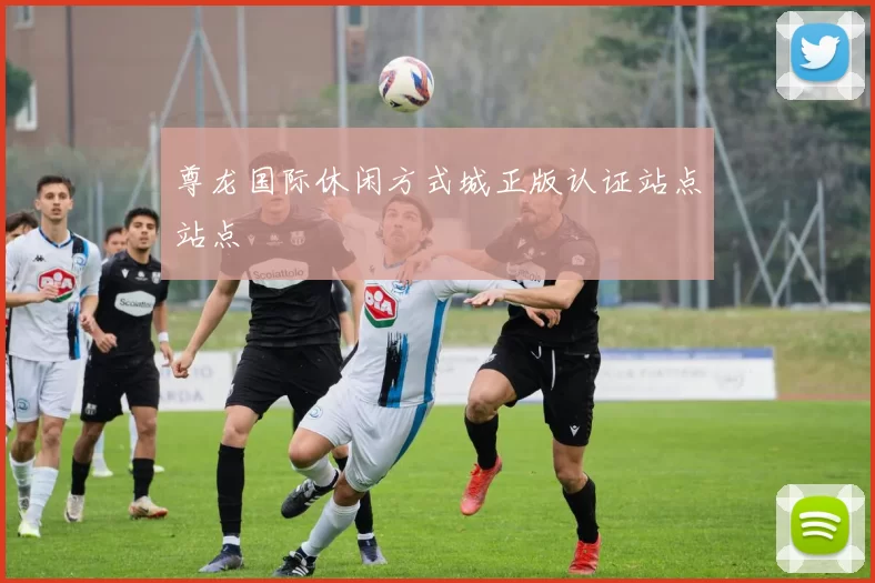 尊龙国际休闲方式城正版认证站点站点