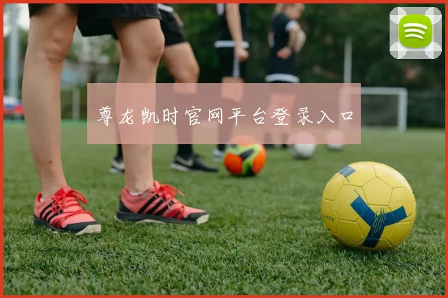 尊龙凯时官网平台登录入口