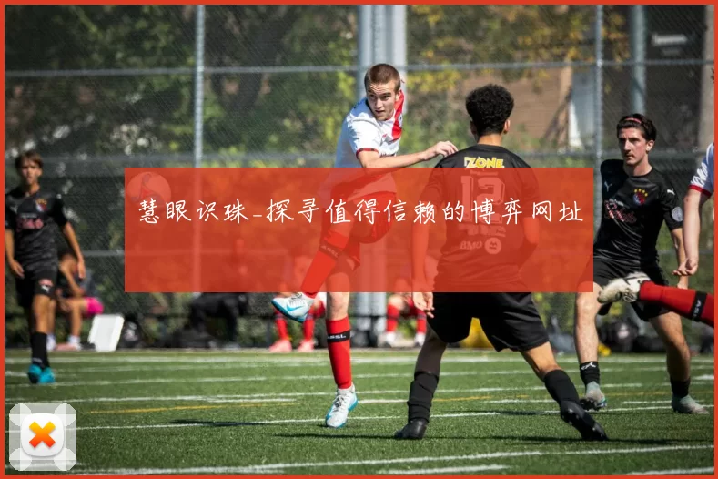 慧眼识珠_探寻值得信赖的博弈网址