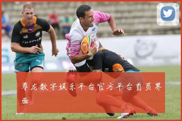 尊龙数字娱乐平台官方平台首页界面