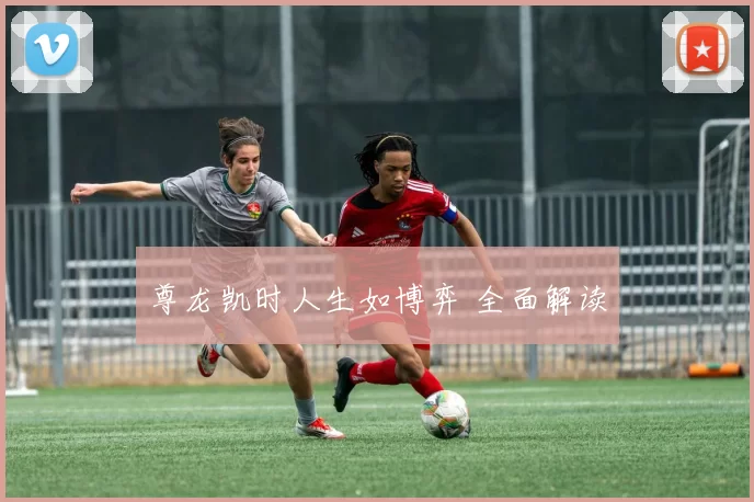 尊龙凯时人生如博弈 全面解读