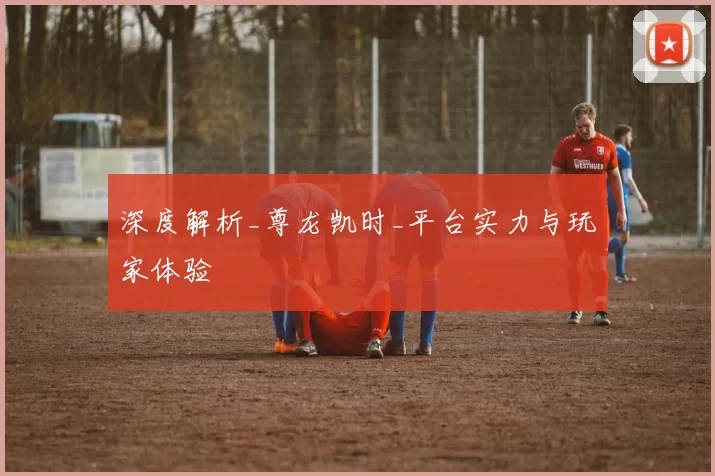 深度解析_尊龙凯时_平台实力与玩家体验