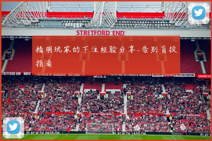 精明玩家的下注经验分享_告别盲投指南