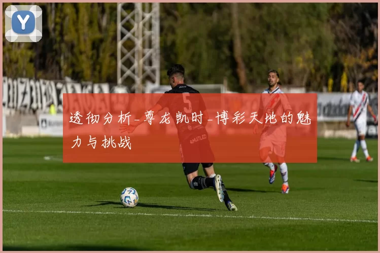 透彻分析_尊龙凯时_博彩天地的魅力与挑战