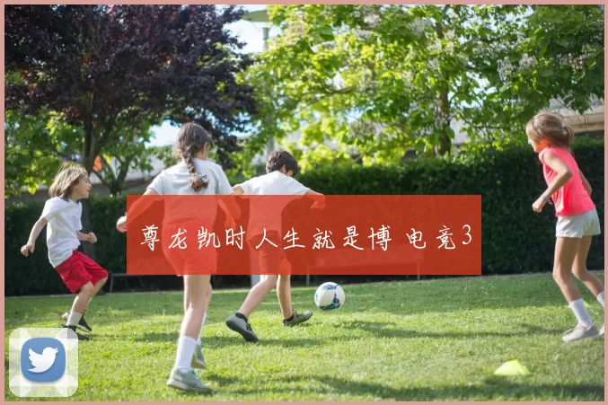 尊龙凯时人生就是博 电竞3