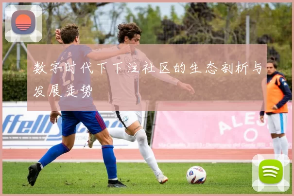 数字时代下下注社区的生态剖析与发展走势
