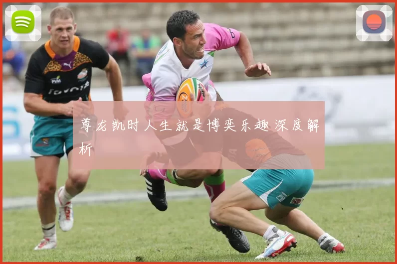 尊龙凯时人生就是博奕乐趣 深度解析