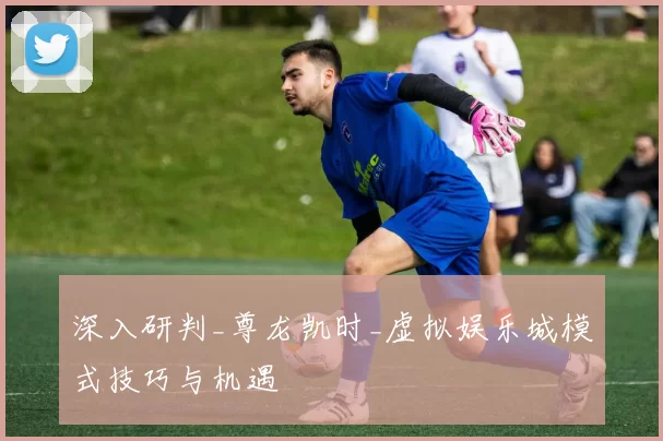 深入研判_尊龙凯时_虚拟娱乐城模式技巧与机遇