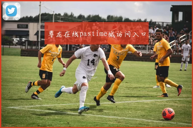 尊龙在线pastime城访问入口