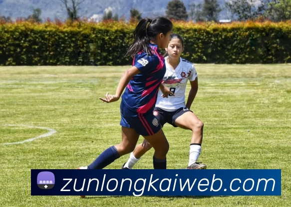 尊龙凯时人生就是搏品牌故事